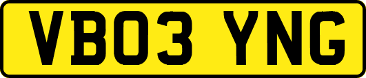 VB03YNG