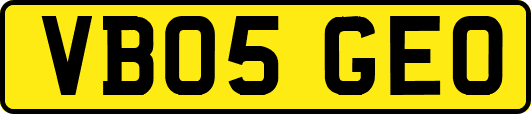 VB05GEO