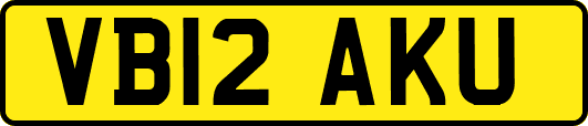 VB12AKU