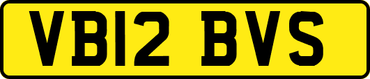 VB12BVS