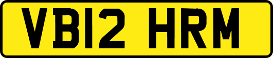 VB12HRM