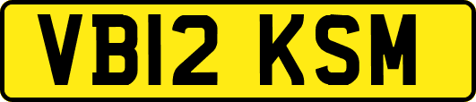 VB12KSM