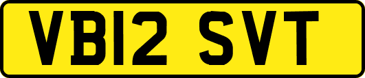 VB12SVT