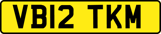 VB12TKM