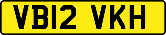 VB12VKH