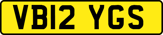 VB12YGS
