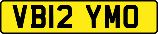 VB12YMO