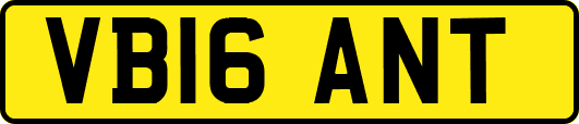 VB16ANT