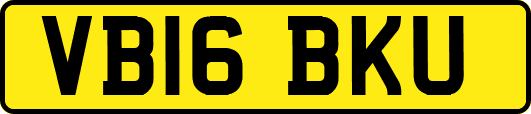VB16BKU