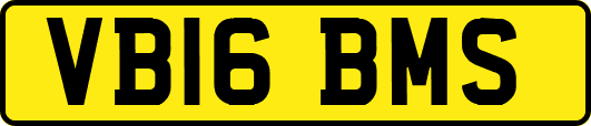 VB16BMS