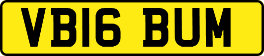 VB16BUM