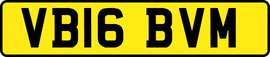 VB16BVM