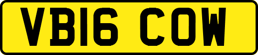 VB16COW