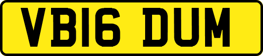 VB16DUM