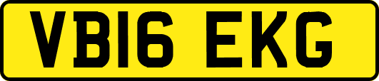 VB16EKG