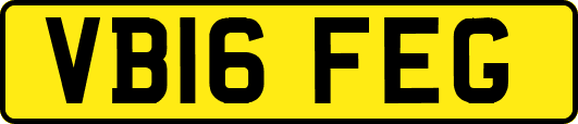 VB16FEG