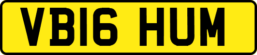 VB16HUM