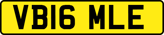 VB16MLE
