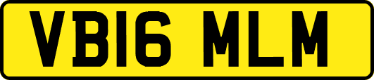 VB16MLM