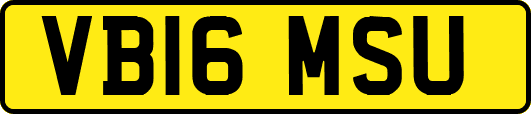 VB16MSU
