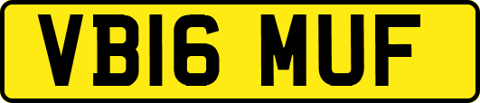 VB16MUF