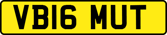 VB16MUT