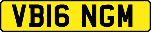 VB16NGM