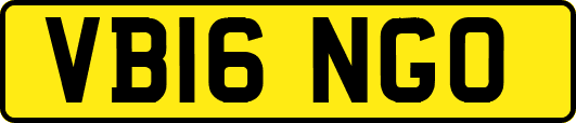VB16NGO