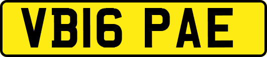 VB16PAE