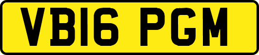 VB16PGM