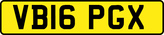 VB16PGX