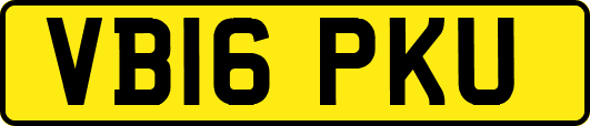 VB16PKU