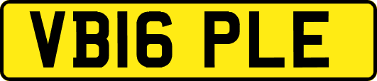 VB16PLE
