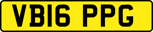 VB16PPG