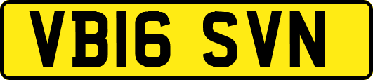 VB16SVN