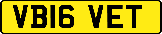 VB16VET