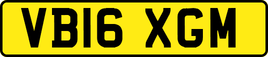 VB16XGM