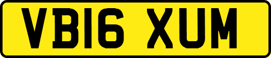 VB16XUM