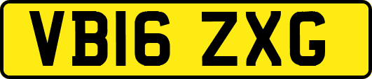 VB16ZXG
