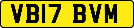 VB17BVM