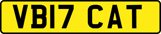 VB17CAT