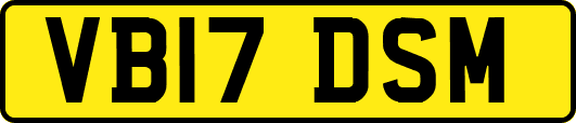 VB17DSM