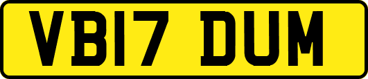 VB17DUM