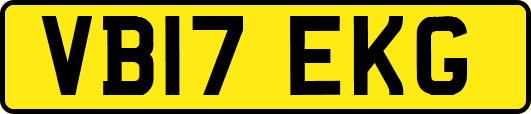 VB17EKG