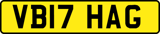 VB17HAG