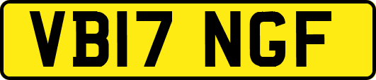 VB17NGF