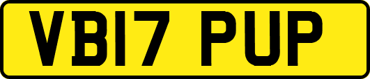 VB17PUP