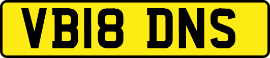 VB18DNS