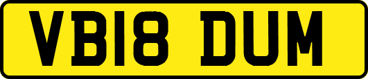 VB18DUM