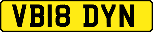 VB18DYN